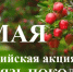 Ежегодная Всероссийская акция «Сад – Связь поколений» (0+) - Газета Вперёд