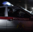 В Алтайском крае росгвардейцы задержали похитителя алкоголя - Росгвардия