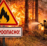 Четыре природных пожара потушили в Югре за неделю - Местное время