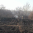 Высокая пожароопасность ожидается в Нижегородской области - ИА Нижний сейчас