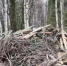 Фото: Народный фронт - News29.Ru