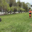 В Кирове начали косить газоны - VyatkaKirov.Ru