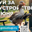 Преобразить город может каждый. Начните с одного клика - МФЦ