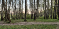 Калуга-поиск - Kaluga-Poisk.Ru