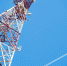 МТС увеличила на треть скорость LTE-интернета в Курганской области - Shadr.Info