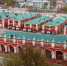 Калуга-поиск - Kaluga-Poisk.Ru
