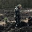 Белгородская область перевыполнила план по лесовосстановлению в 10 раз - Сетевое издание Победа 31