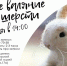 В «Ночь музеев» 16 мая музей откроет двери для желающих окунуться в мир культуры и искусства - ProSeverouralsk.Ru