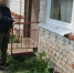 Поругались: тамбовчанина отправили в колонию строгого режима на 8 лет - Тамбовская жизнь