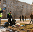 ГЖИ выявила нарушения в 660 домах Петербурга после весенней проверки - Peterburg2.Ru