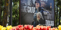 Выставка из 110 фотографий о боли приграничья открылась в Белгороде - Сетевое издание Победа 31