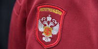 Роспотребнадзор усилил контроль для недопущения завоза хантавируса Андес - M24.Ru