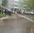 В Узловой 24-летний мужчина сбил несовершеннолетнего мальчика на питбайке - ТК Первый Тульский