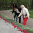 img - ЛДПР