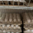 В МАПП «Кяхта» проверили 460 тонн продукции и 17 животных-компаньонов - ИА Байкал-Daily
