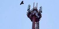 МТС запустила отечественные базовые станции LTE в 15 районах Приангарья - Weacom.Ru