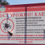 Фото Жителям Бурятии посоветовали хранить клеща в холодильнике - Газета Новая Бурятия