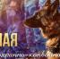 JPG Файл - УМВД Иркутской области