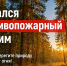 На территории округа введен особый противопожарный режим - Тавдинский городской округ
