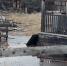 Село Арылах Мирнинского района освободилось от воды - Yakutia-Daily.Ru