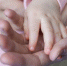 lb9rfrf1la3bpwfjo9uecxep7263mndg.jpeg - Primorye24.Ru