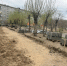 image - GazetaRB.Ru