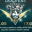 На ОбьГЭС пройдет фестиваль рабочих собак «DOG FEST» - Газета Навигатор