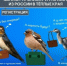 IMG_20260513_111520_344 - NeruLife.Ru
