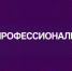 Представители Алтайского края показали высокие результаты на этапе Чемпионата по профессиональному мастерству «Профессионалы» - Газета Сельский вестник
