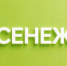 Представители Алтайского края стали участниками школы командных составов трудовых проектов «Российских студенческих отрядов» - Газета Сельский вестник