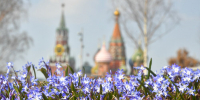 Леус: в Москве обнулилась положительная температурная аномалия - ИА Общественная служба новостей