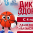 Изображение: организаторы - InformPskov.Ru