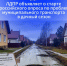 img - ЛДПР
