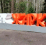 Продолжаем делиться фотографиями с уборки города. - Город Дивногорск