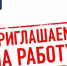 Администрация Мокроусовского муниципального округа объявляет конкурс на замещение вакантной должности муниципальной службы. - Мокроусовский муниципальный округ