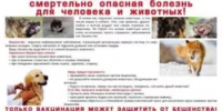 Об изменениях в законодательстве Республики Башкортостан в области обращения с животными. - Белокатайский район