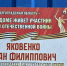 В Михайловке ветераны принимают поздравления с 81-й годовщиной Великой Победы - Городская дума