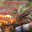 Комиссии по предупреждению и ликвидации чрезвычайных ситуаций и обеспечению пожарной безопасности  напоминает о правилах безопасного поведения в период весеннего пожароопасного сезона - Вадинский район