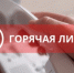 Проводим "горячую линию"! - Министерство лесного хозяйства