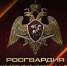 Ключевые события Росгвардии: итоги недели - Росгвардия