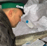 С начала года через Петербург и Ленобласть импортировали 220,2 тыс. т рыбы и морепродуктов - 47Channel.Ru