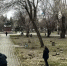 Месяц благоустройства. Субботник. - Газета Бийский рабочий