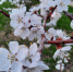 Народные приметы на 14 мая: куда положить монетку, чтобы разбогатеть и кому птицы принесут счастье - КТВ-ЛУЧ