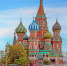 Фото: Stephan Langhans/Shutterstock/Fotodom - Ямал-Медиа