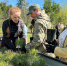 В Свердловской области выбрали главную площадку «Сада памяти»: 7,2 тысячи сосен высадят под Березовским - Уральский рабочий