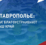 Более 350 тысяч ставропольцев проголосовали за объекты благоустройства - Вечерний Ставрополь