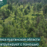 #КурганГородТрудовойДоблести   #45кодПобеды

Возникли трудности при ведении бизнеса в регионе?

Напишите, чтобы быстро получить ответ

Написать

Начало » Новости » Архив новостей » 2026 » Май » С начала года уже выявлено 3 нарушения правил пожарной безопасности в лесах

С начала года уже выявлено 3 нарушения правил пожарной безопасности в лесах - Департамент природных ресурсов