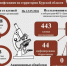 В Курской области выросло число заболевших боррелиозом - Курская правда