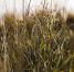 image - GazetaRB.Ru