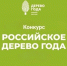 Конкурс «Российское дерево года»!. - Город Алексин